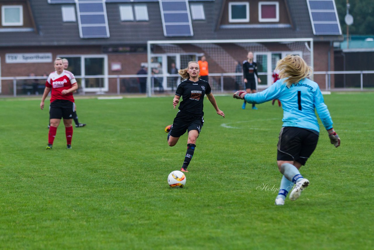 Bild 315 - Frauen TSV Schnberg - SV Henstedt Ulzburg 2 : Ergebnis: 2:6